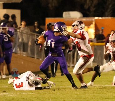 Gainesville High Falls to Williston