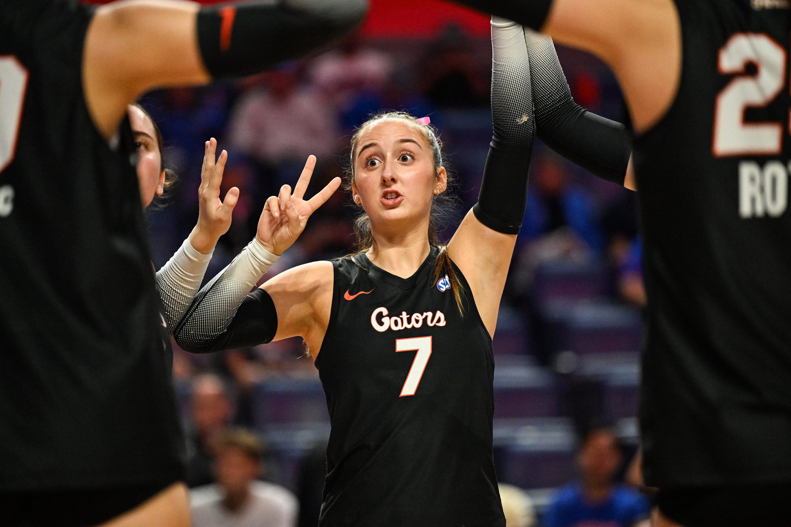 Gators