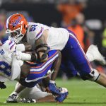 Gators