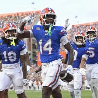 Gators